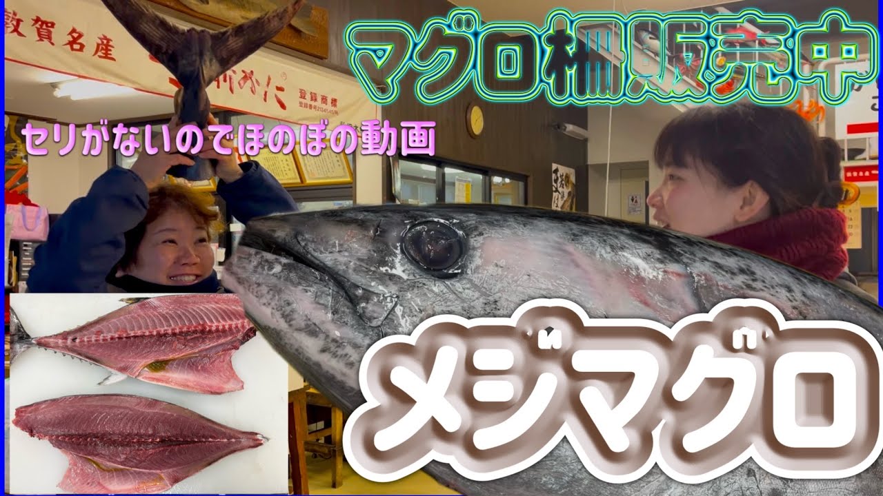 『メジマグロ捌いてみた！そして柵売りするで！』#激安  #魚屋　#相木魚問屋 #敦賀   8/1/28