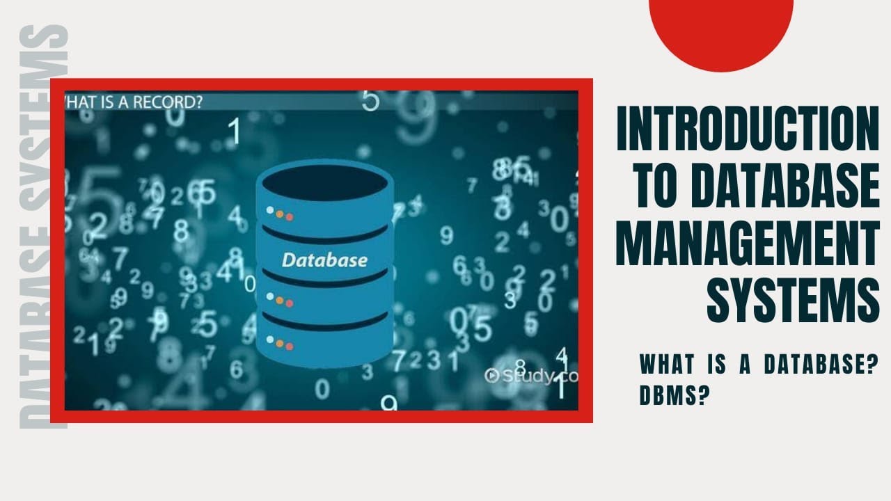 Introduction to Database Systems |What is DBMS |  DBMS | Lec 1