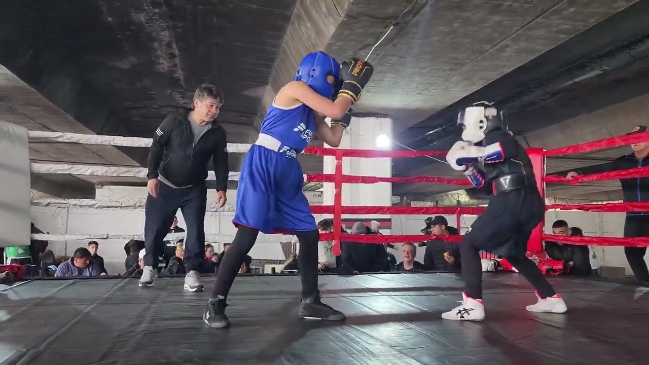 Exhibición El Búho Ciro 🥊🦉