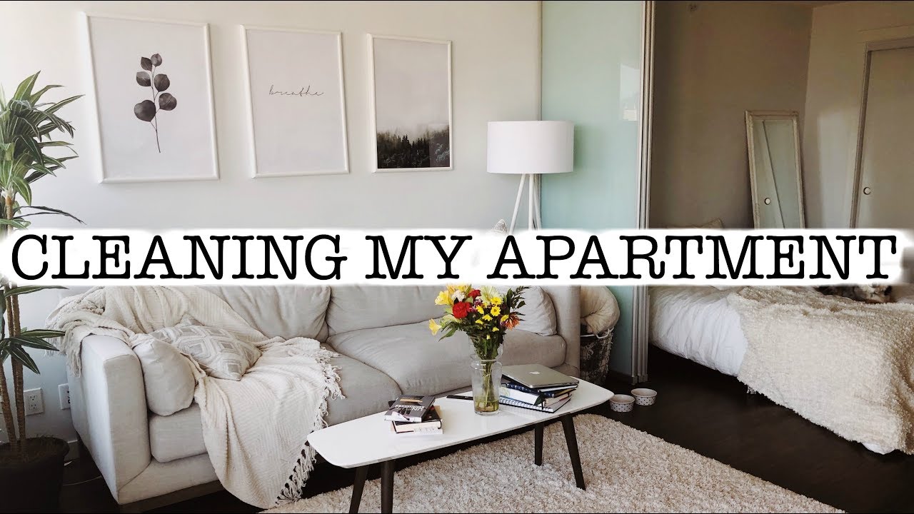 Cleaning My Entire Apartment | Cleaning Motivation!