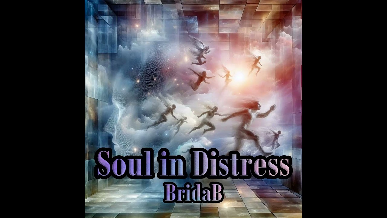 BridaB - Soul in Distress