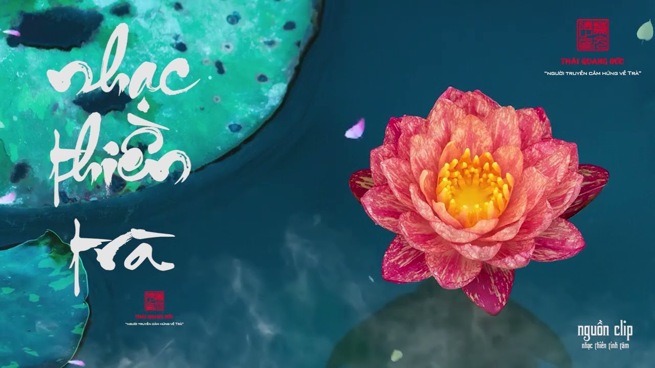 Nhạc Thiền Trà - NHẠC UỐNG TRÀ | Nhạc nghe mỗi ngày (phần 8) | Nhạc Phòng Trà | Hòa Tấu Cổ Nhạc
