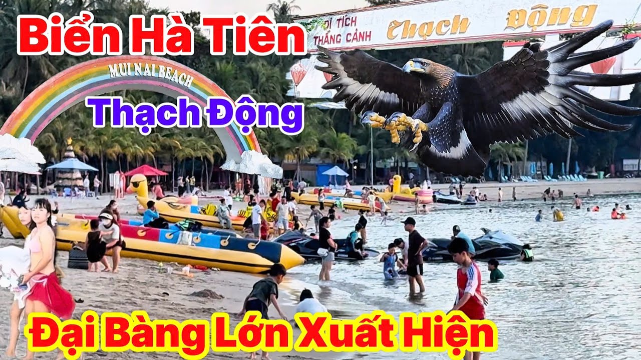 Đại Bàng Lớn Xuất Hiện Ở Thạch Động Mũi Nai Biển Hà Tiên Vắng Khách Lạ Thường | ĐI ĐÂU GHI ĐÓ