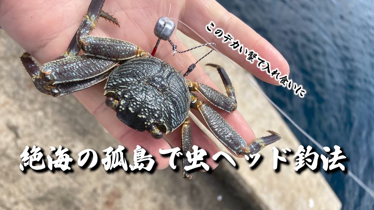 絶海の孤島で虫ヘッド釣法