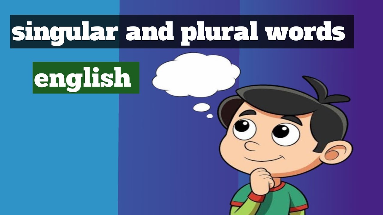 Very important singular and plural words of English scholarship exam class 4 