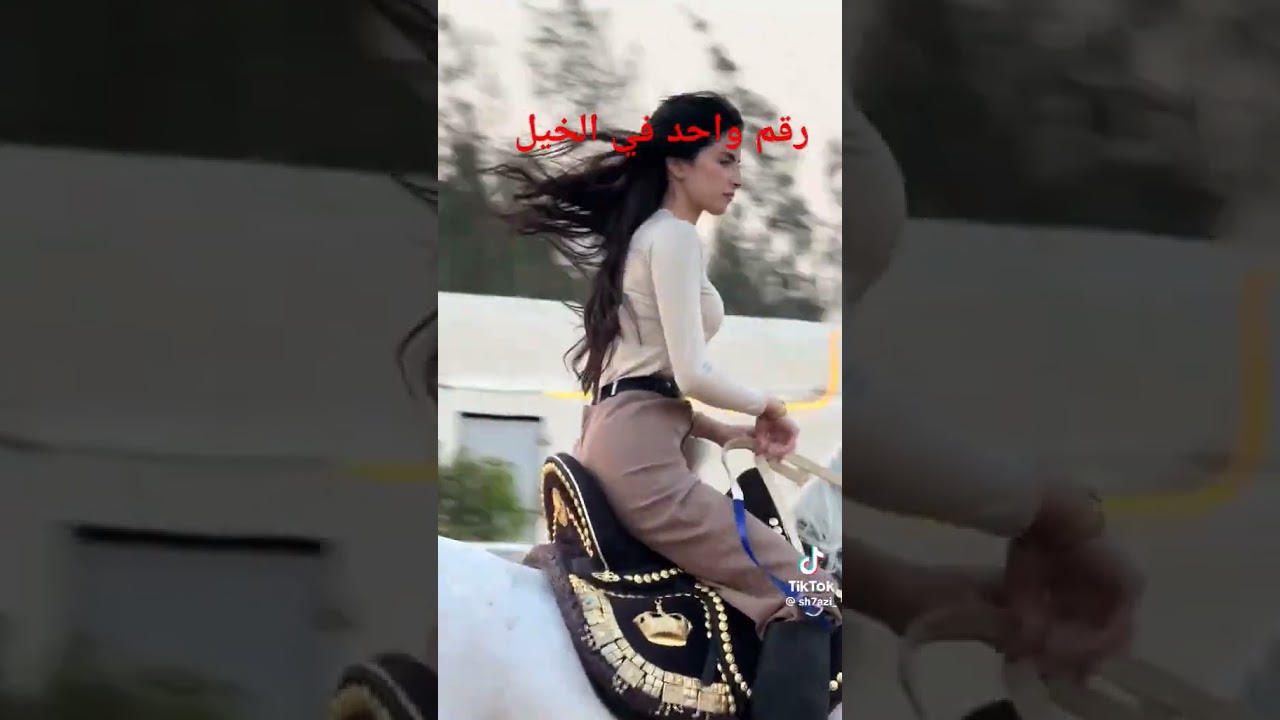 #شهد الشمري #خياله #خيل #الفرس #قعيد
