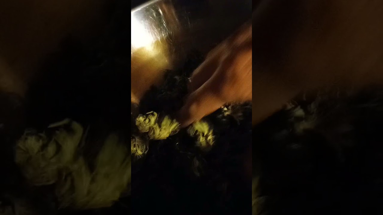 Bucking wet trim cure