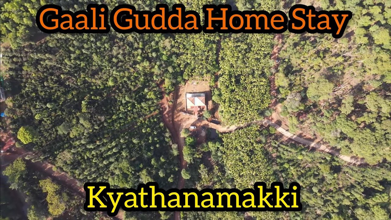 One of the Best Home Stay Till Date | Gali Gudda Home Stay, Kyathanamakki
