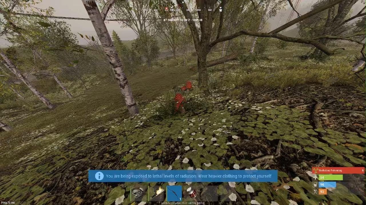 Rust console solo