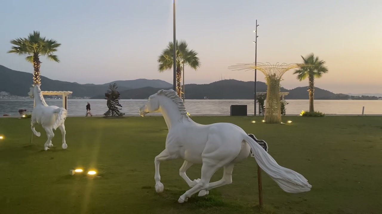 Dünyanın en güzel Parkı 🌴🐢🌅🕌