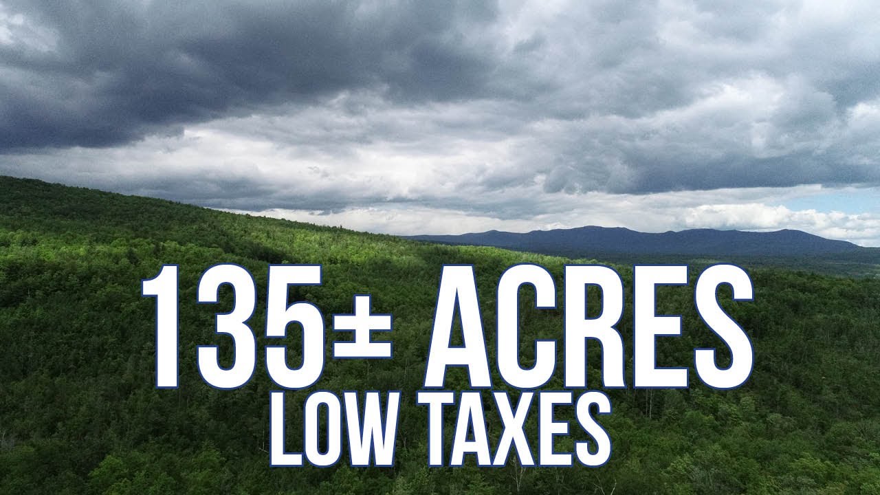 135± Acres of Land with Low Taxes | Maine Real Estate