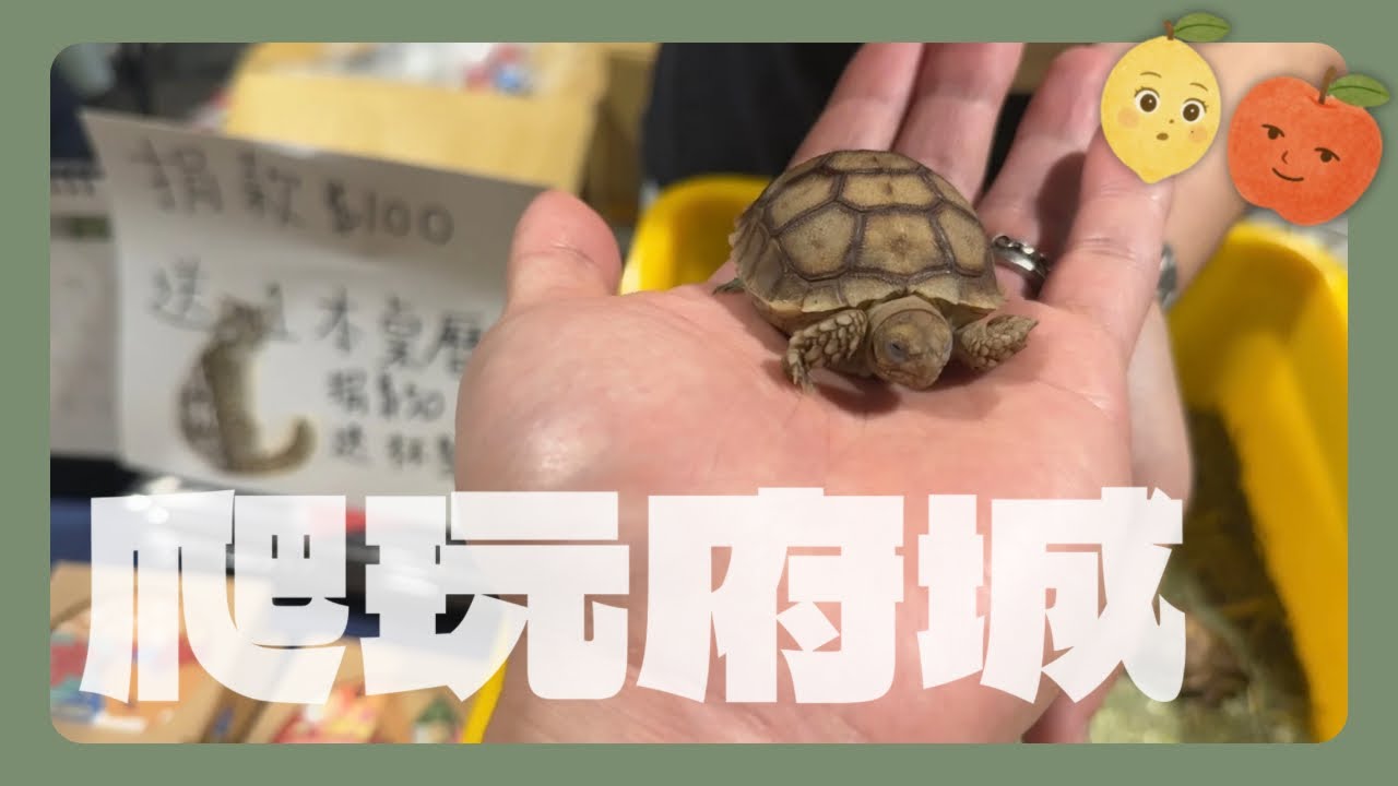 ［Taiwan Exotic Pet Expo］台南歸仁｜爬玩府城2026｜大台南會展中心｜逛市人生