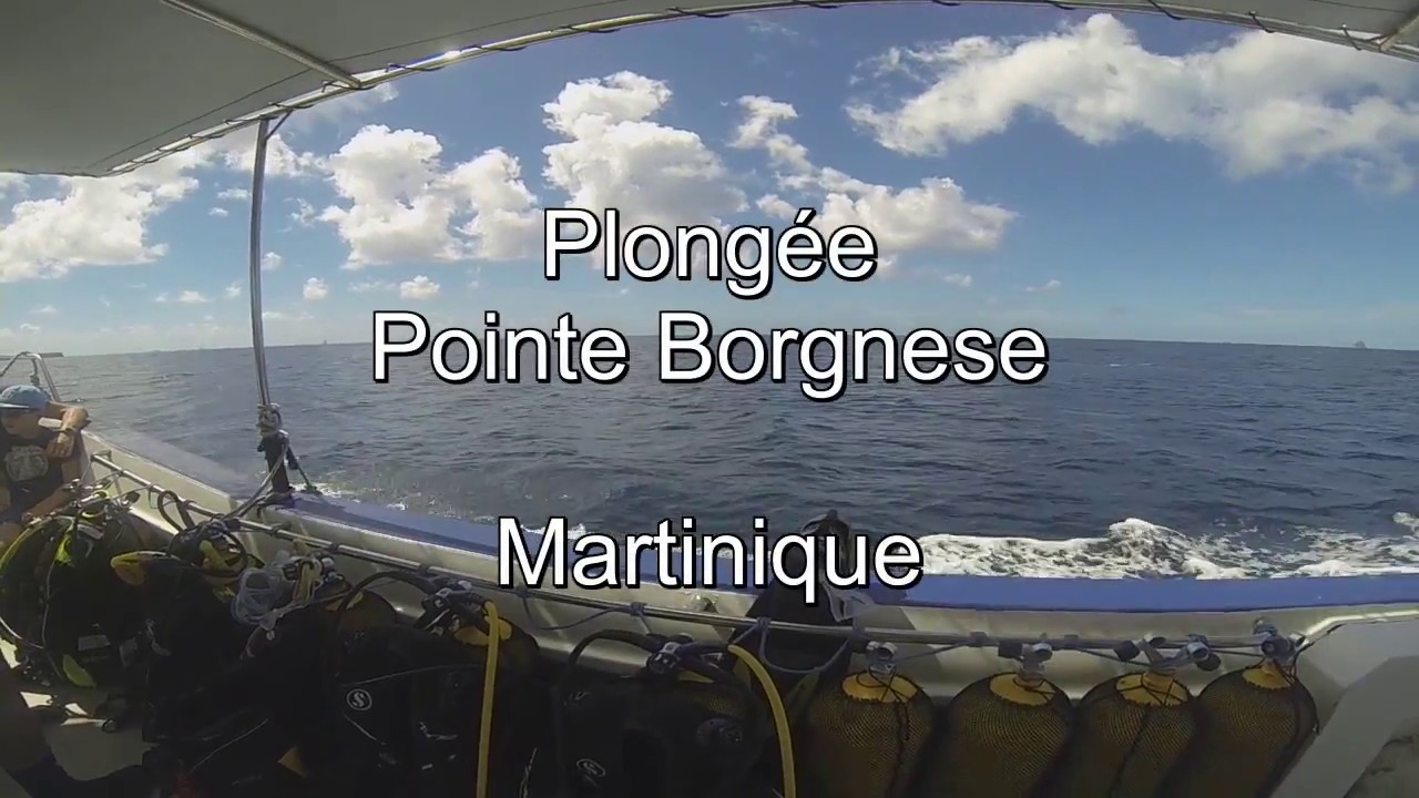 plongee pointe borgnese