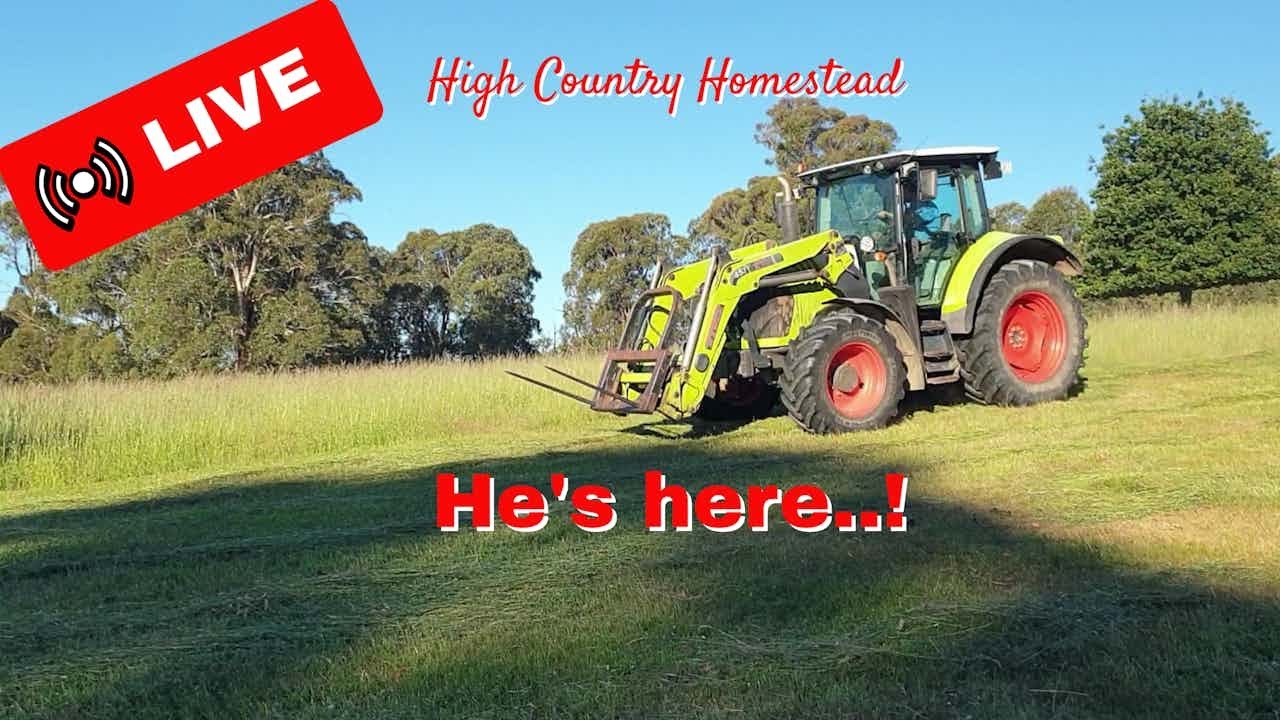 Hay Cutting... It finally begins!!