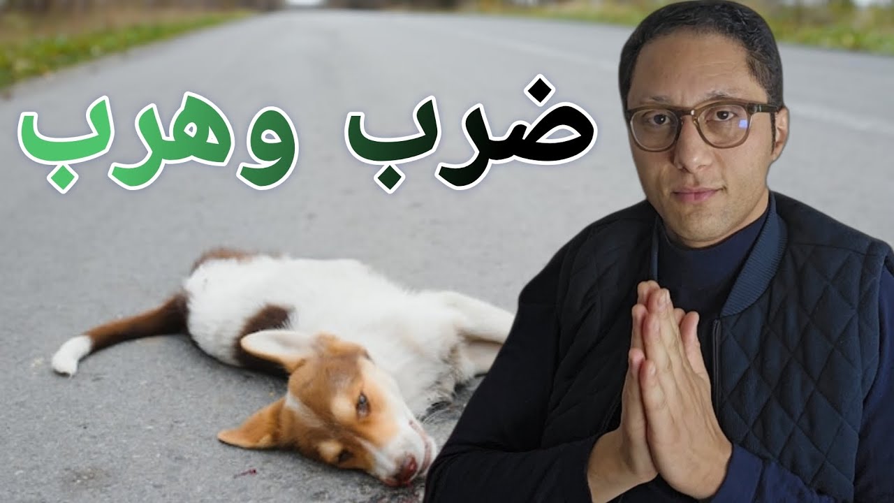 🚨واقعة اكتر من الخيار 😲ضرب واهرب واش الحيوان مافهش روح🤔