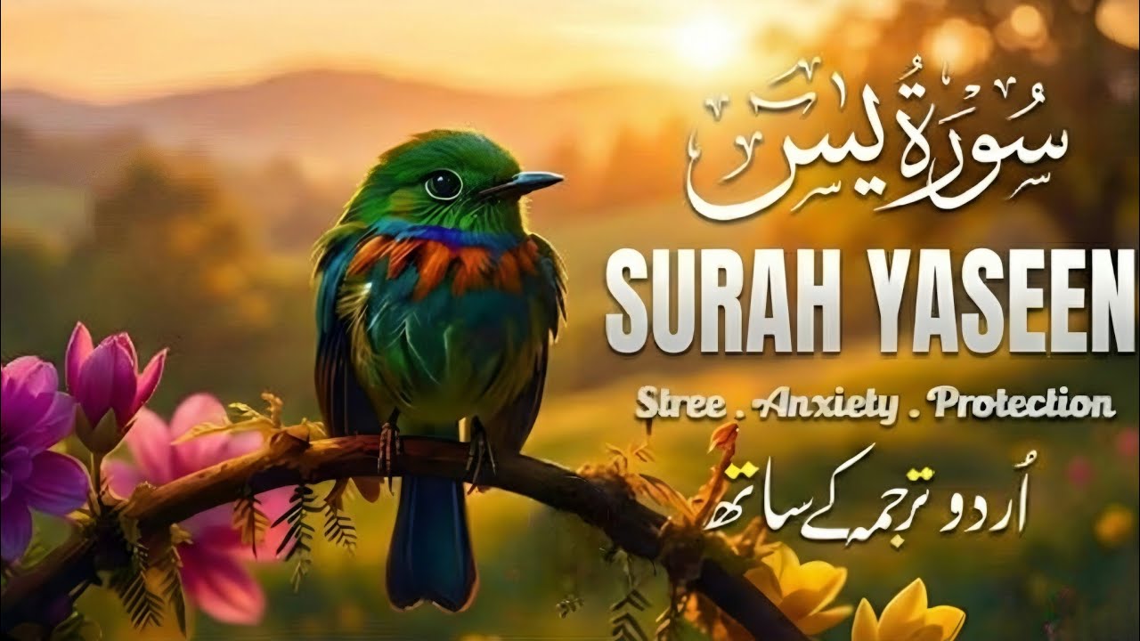 Surah Yaseen full HD | The Heart of the Qur’an | Beautiful Full Recitation