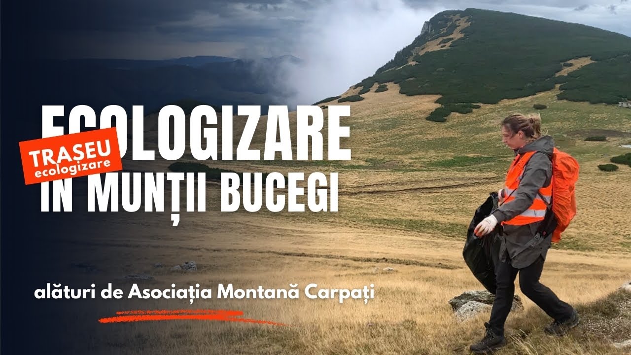 Ecologizare în Munții Bucegi - Cota 1400- Cota 2000 - Cabana Piatra Arsa