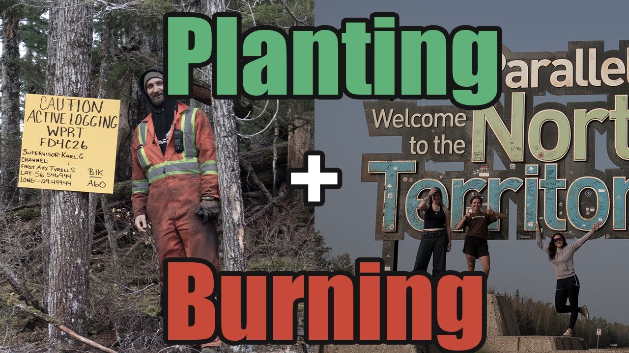 Planting NWT + Burning 2025
