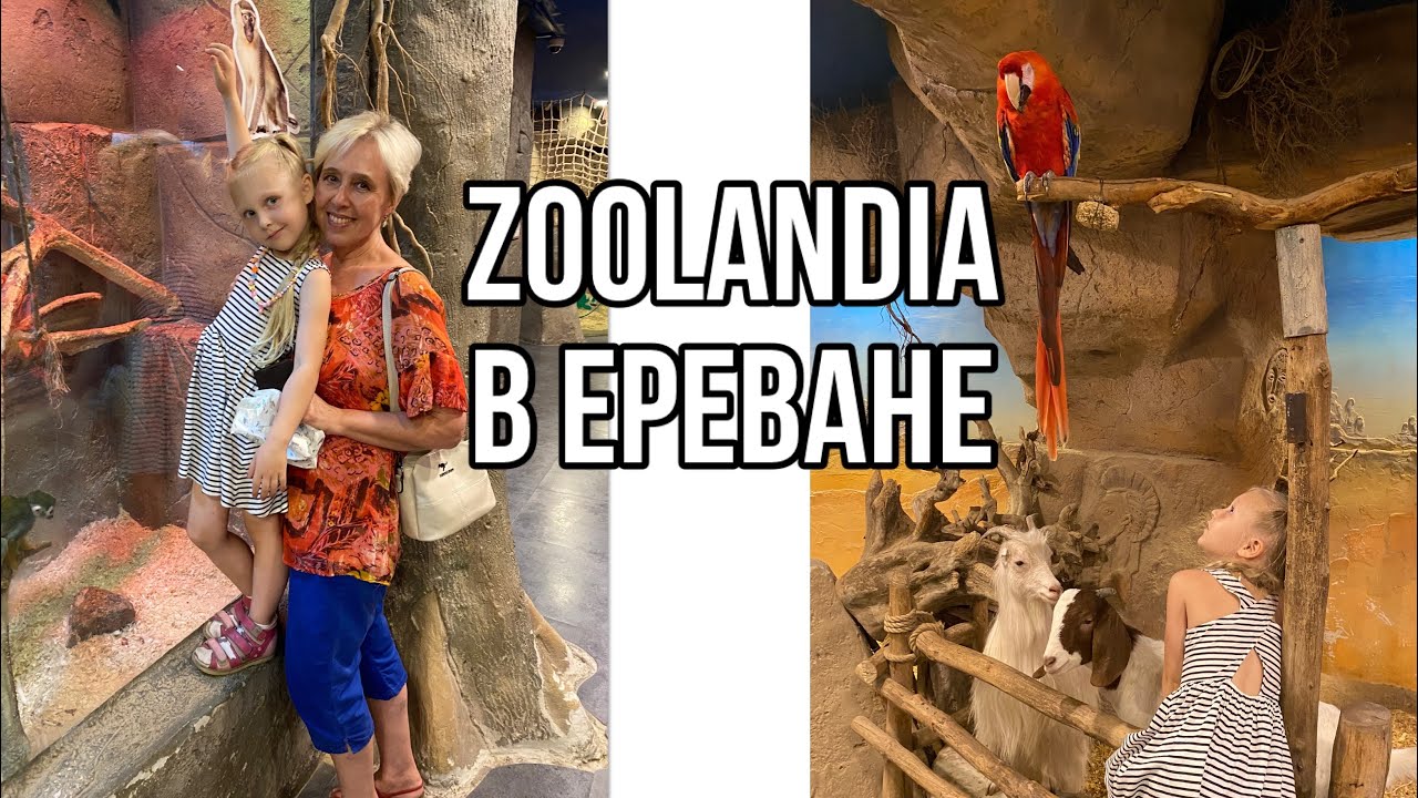 Армения/Ереван: голубая мечеть 🕌/Zoolandia Exotarium в ТЦ РИО