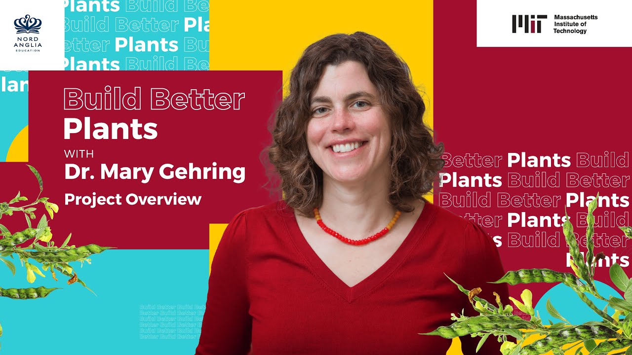 Build Better Plants ft. Dr. Mary Gehring | Build Better | MIT Challenges