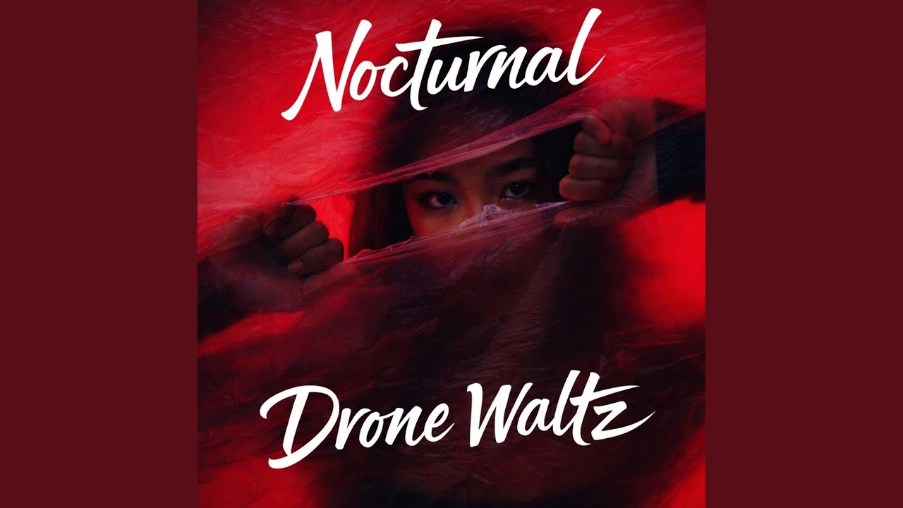Nocturnal Drone Waltz