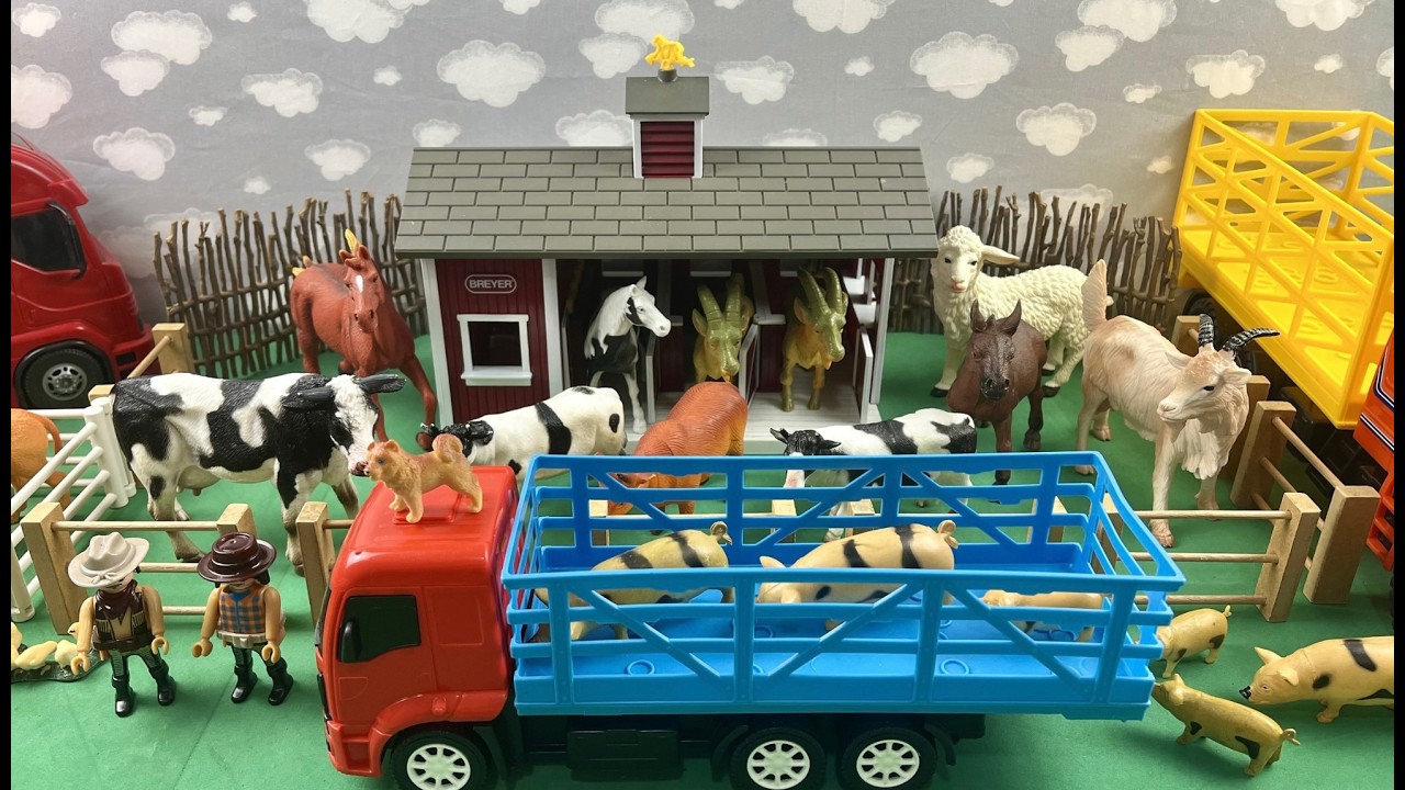 PIGS BEING TRANSPORTED / PORCOS SENDO TRANSPORTADOS