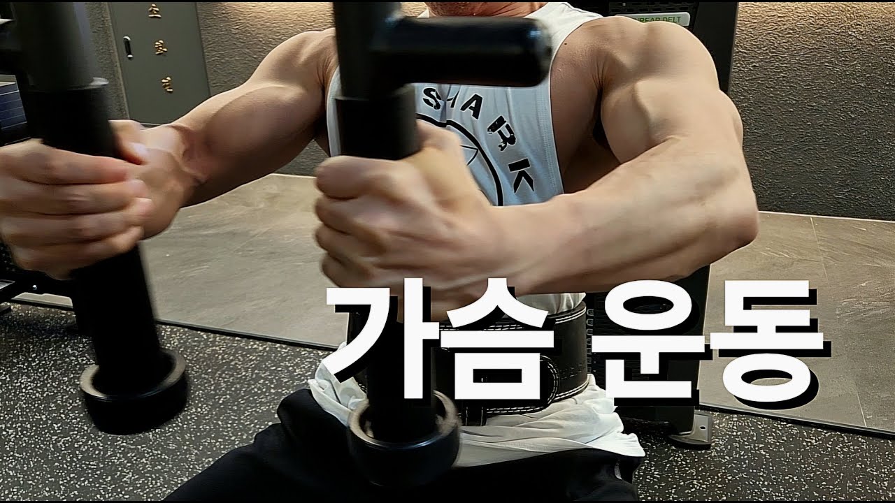 가슴 커지고 싶은 치료사 (가슴 운동 루틴)