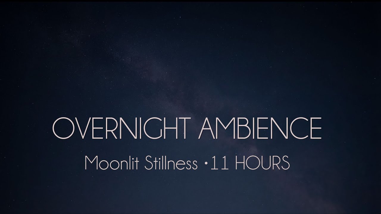 🌙 Moonlit Stillness | Calm Night Ambience for Deep Sleep 10 Hours