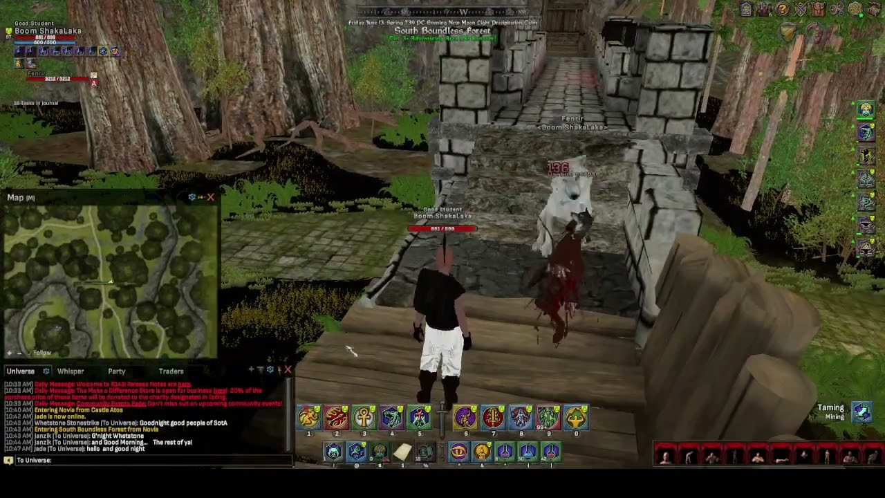 Shroud of the Avatar - Tamer Buff - South Boundless Forest