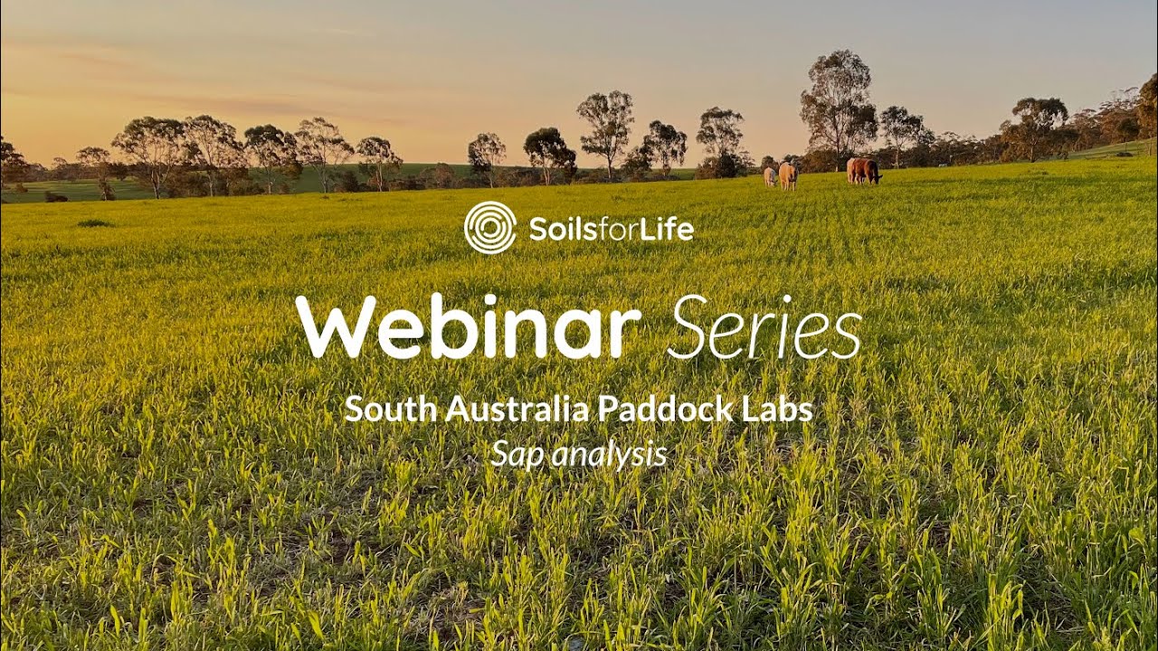 Soils For Life Webinar - Plant Sap Testing and Analysis
