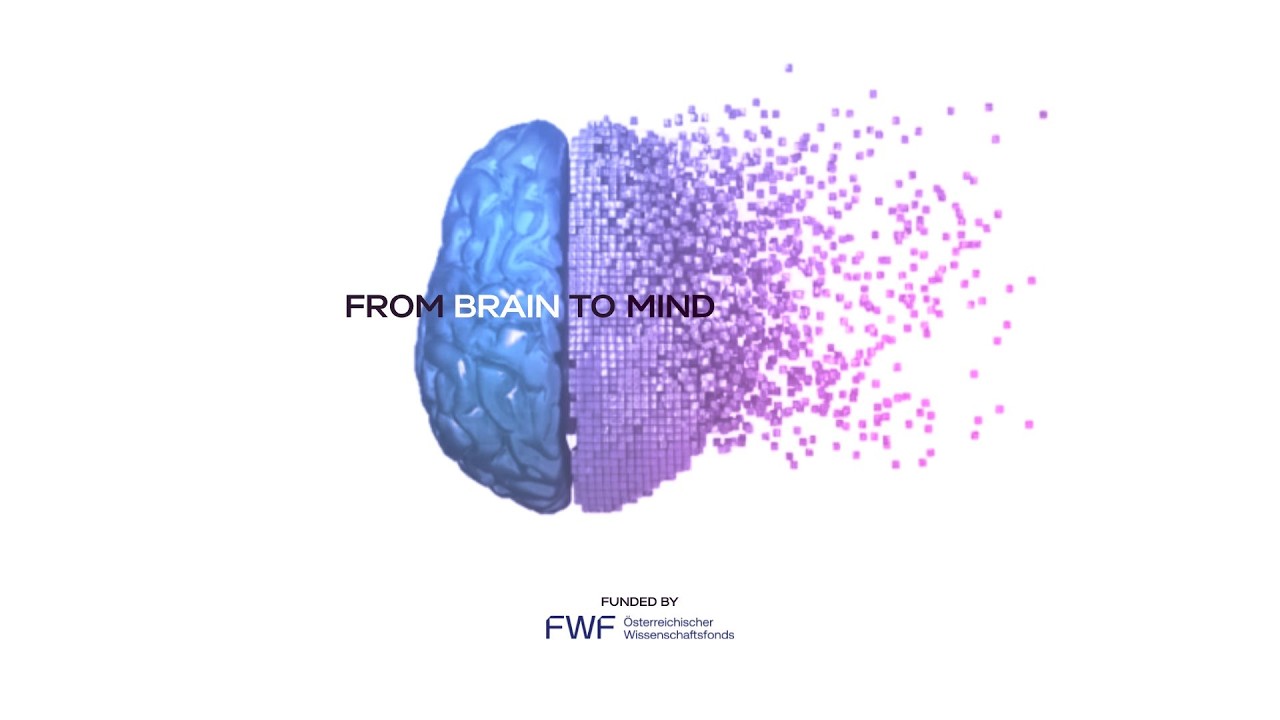 B2M #12 Brain Connectivity & Women in Neuroscience With Dr. Lavinia Uscătescu