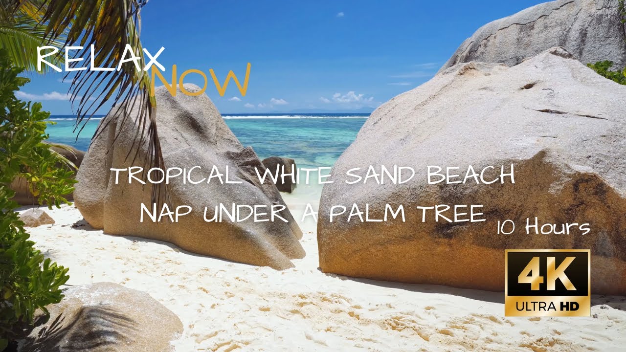 4K 10 Hours Tropical Beach🏝Ocean Waves🌊Palm Tree | Sleep🌙Meditation Relaxation | Nature White Noise