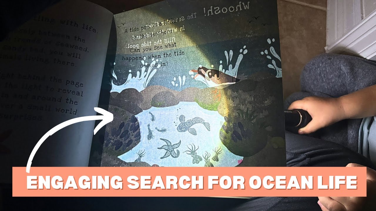Seek and find hidden marine life in this book with a flashlight!