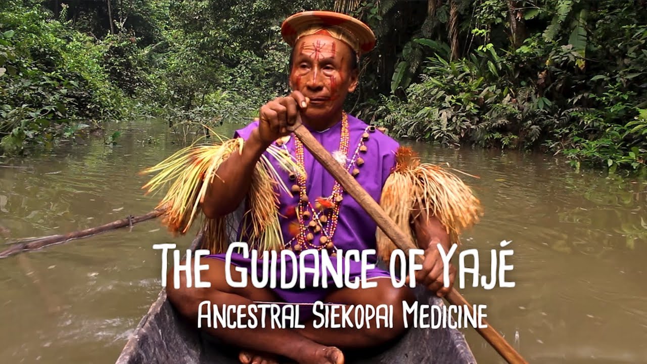The Guidance of Yaje  - Ancestral Siekopai Medicine Trailer