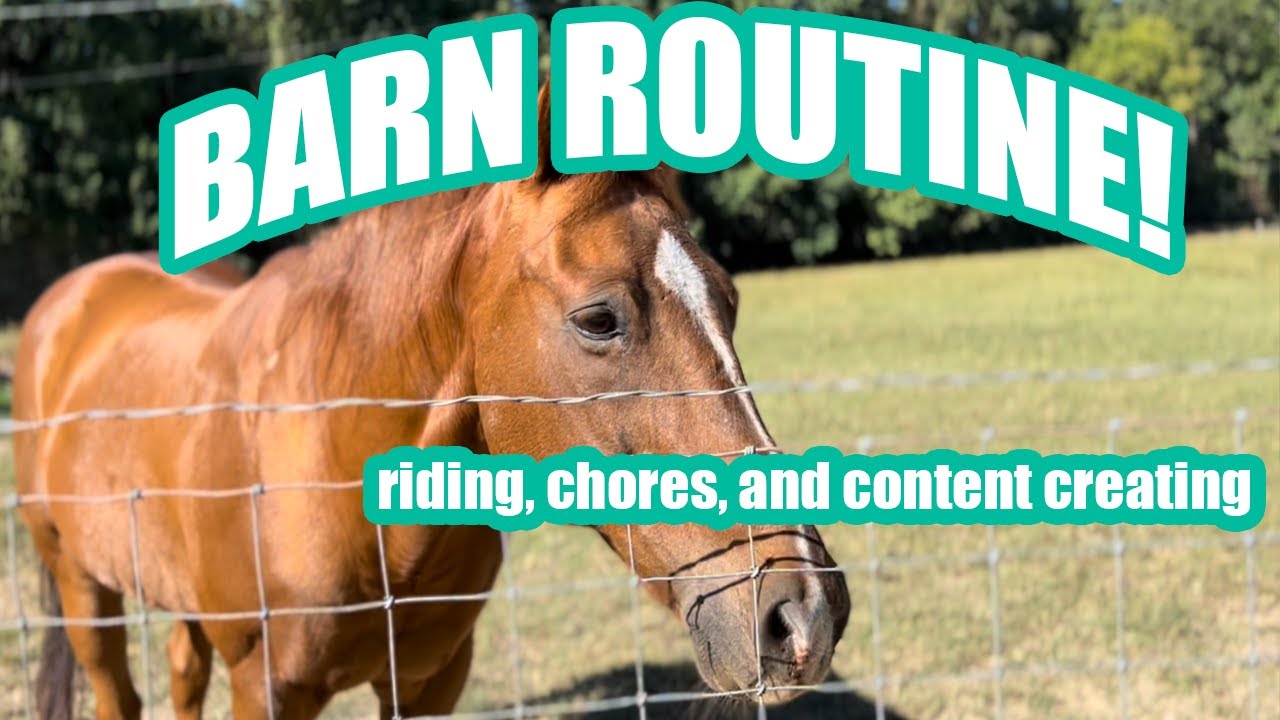 Spend A Day At The Barn With Me! - Barn Routine
