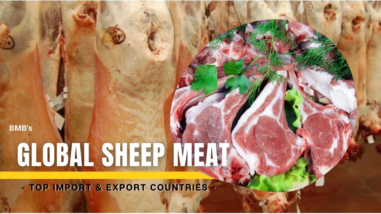 SHEEP MEAT TOP IMPORT & EXPORT COUNTRIES WORLDWIDE - MUTTON LAMB MEAT