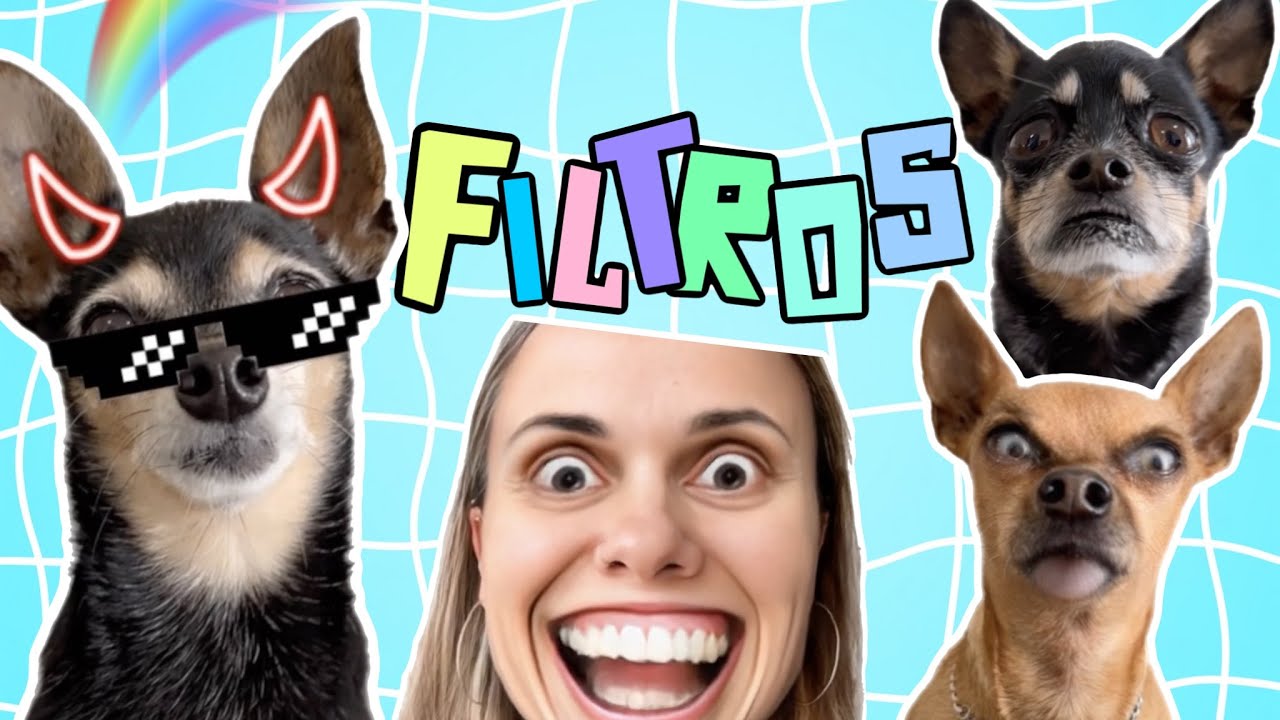 TESTEI OS FILTROS MAIS DIVERTIDOS NOS MEUS CACHORROS