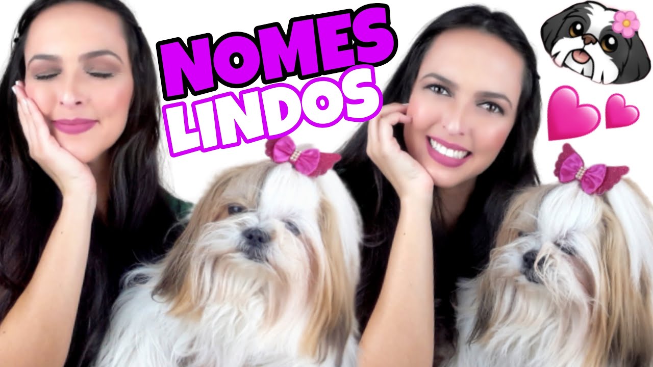 IDÉIAS de NOME pra SHIH TZU FÊMEA 💜🐶 Elegantes, fortes e delicados 💜🐶