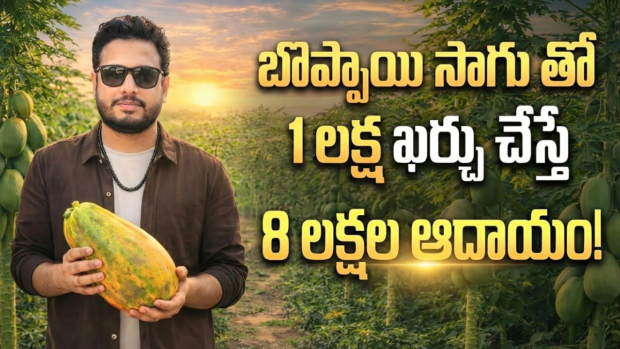 లక్ష పెట్టుబడి పెడితే 8 లక్షలు అయ్యాయి !
