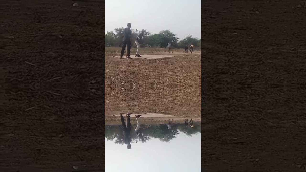 Village cricket 🏏🏏 match 😎#cricketmatch #live #livestream #cricketlover 