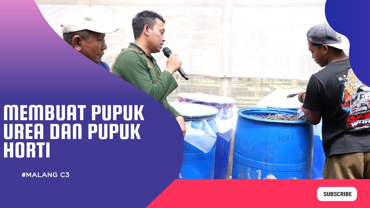 Membuat Pupuk Urea Dan Pupuk Horti #bayudiningrat #petanitemansejati
