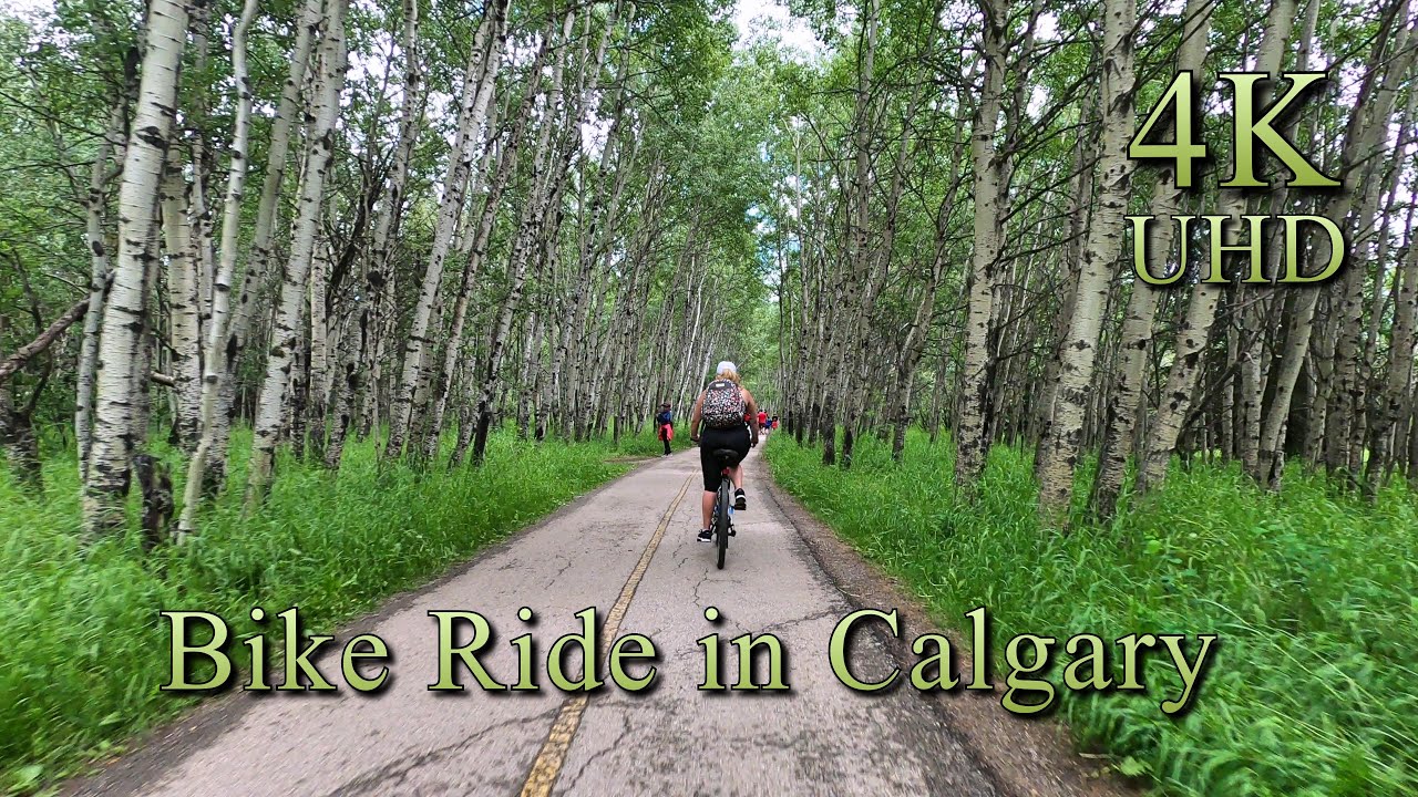 Relaxing Bike Ride Around Glenmore Reservoir - Best Calgary Bike Trail - Alberta, Canada - 4K Video