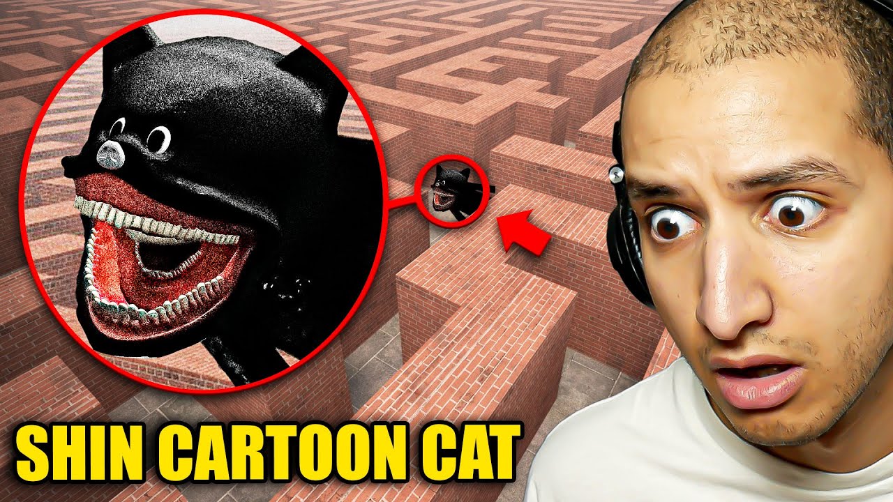 Stuck in a MAZE With SHIN CARTOON CAT...
