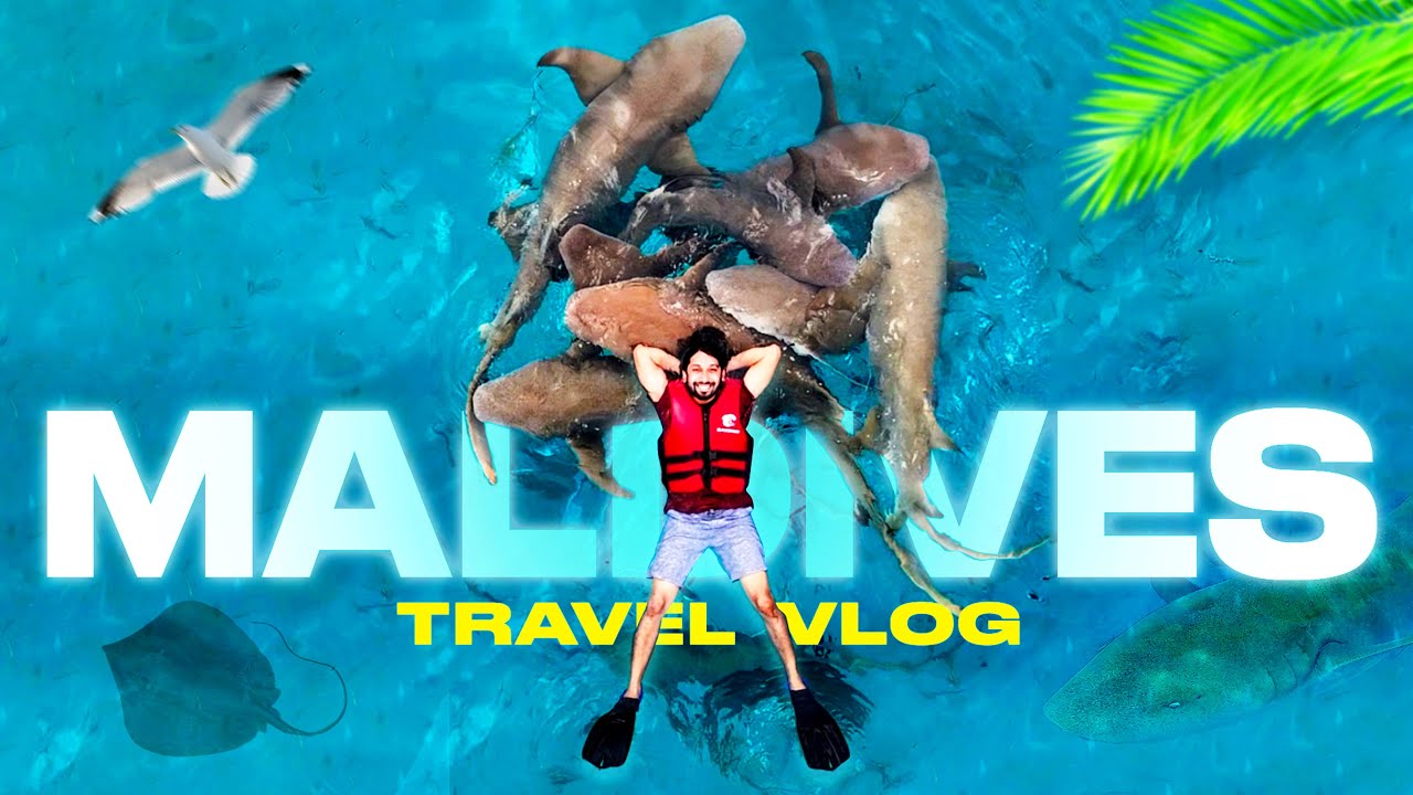MALDIVES Travel Vlog  | Shark Swimming | Male | Maafushi | Gulhi