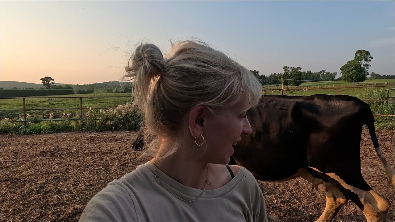 Who’s the new guy on the farm and other dairy farm updates…
