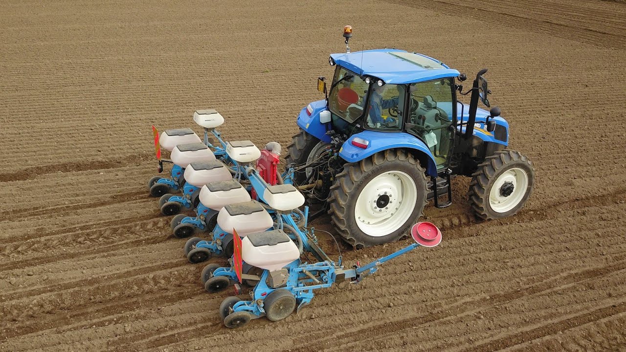 Semina mais NEW HOLLAND T5.95 + Monosem 6 file Corn seeding 2020