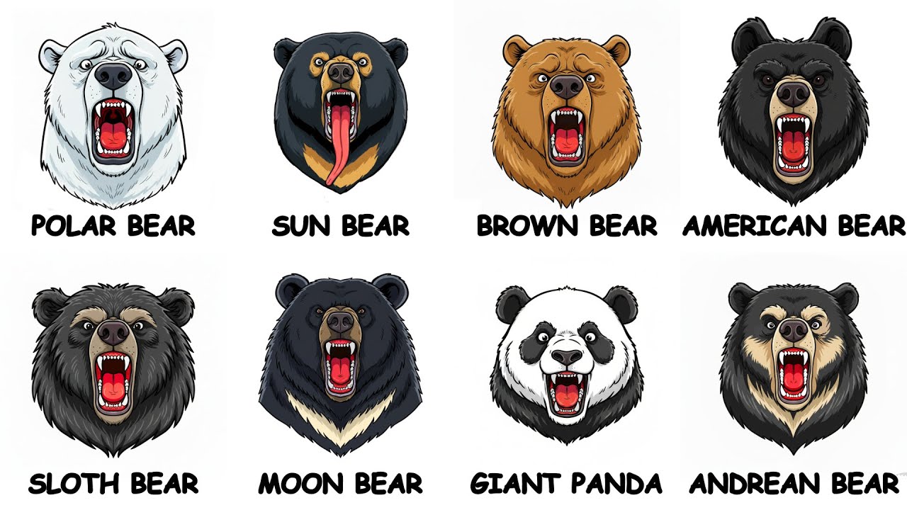 Every Bear Species Explained in 10 Minutes 8 Types of Bears