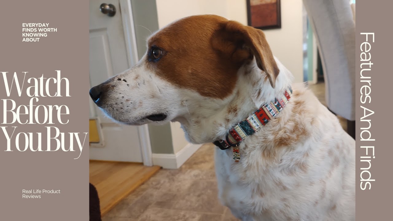 Check Out Cute Christmas Dog Collar with Tree Charm