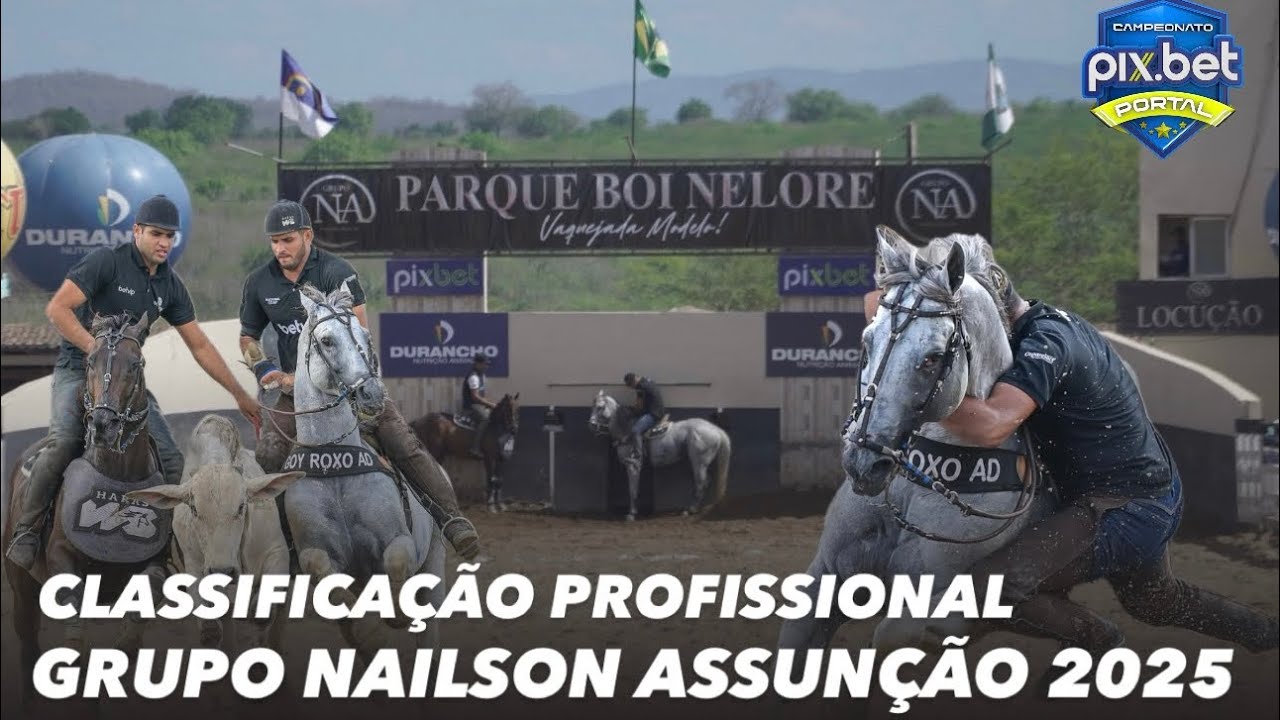CLASSIFICAÇÃO PROFISSIONAL VAQUEJADA GRUPO NAILSON ASSUNÇÃO PARQUE BOI NELORE 2025 VAQUEJADA AO VIVO
