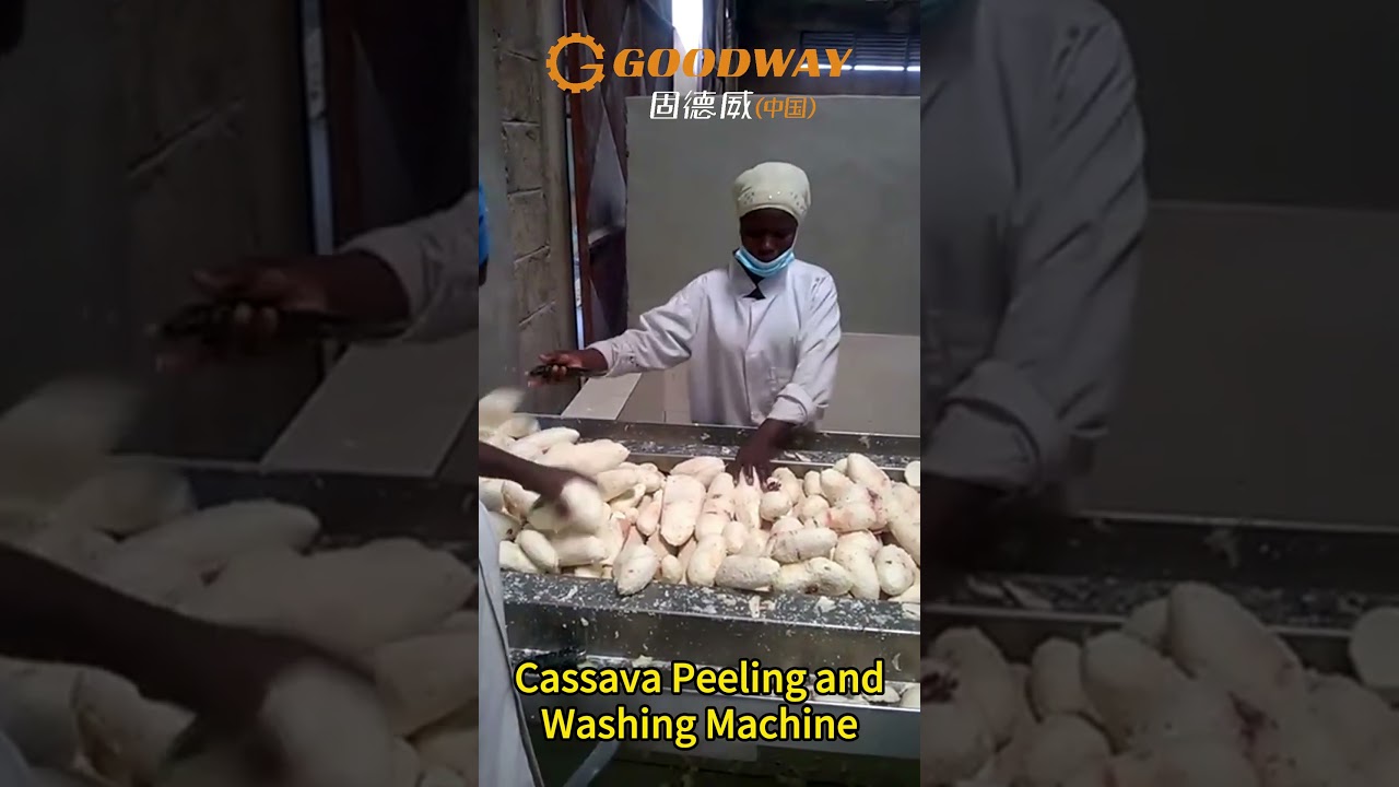 Professional Cassava peeling and washing machine Cassava peeler processing machine
